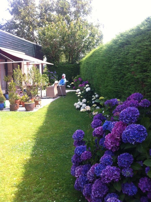 For rent: House Duinschooten in Noordwijkerhout