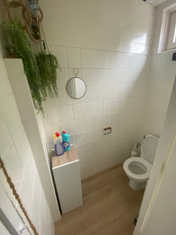 For rent: Flat Peppelweg 102 B in Rotterdam