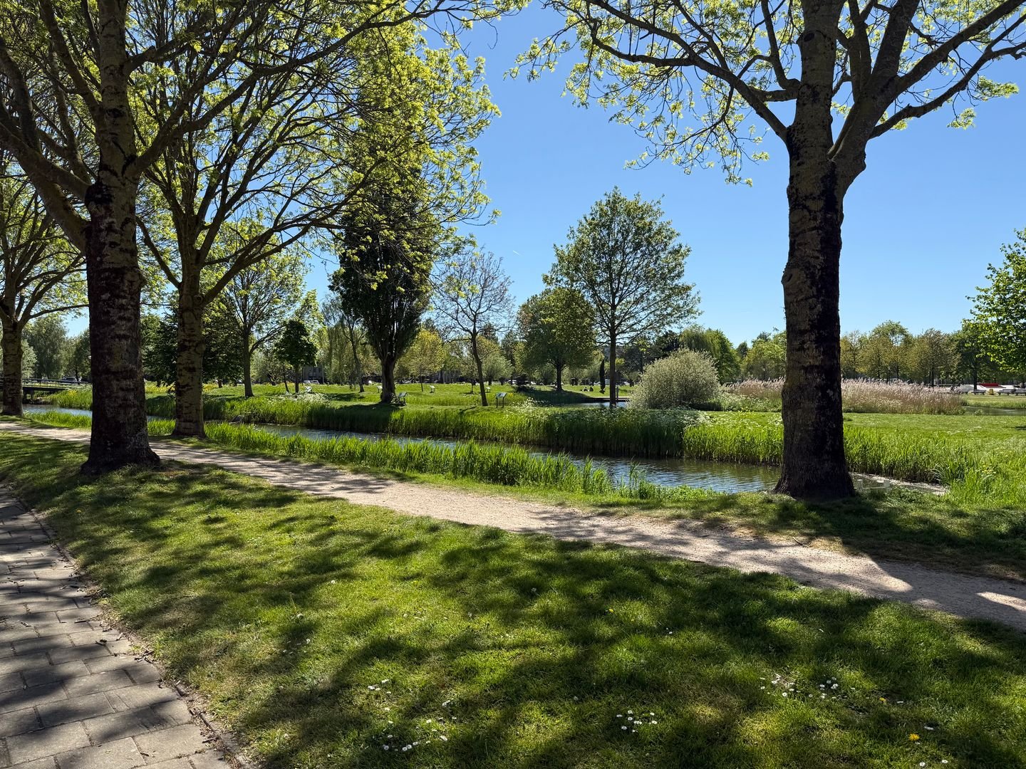 Kopenhagensingel 89