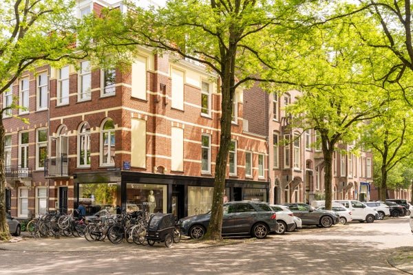 For rent: Flat Van Breestraat in Amsterdam