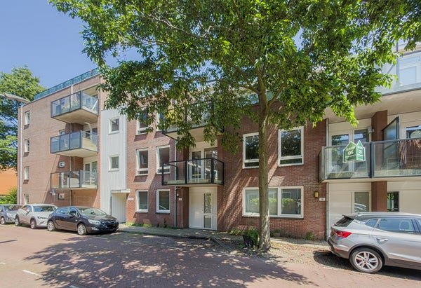 For rent: Flat Nicolaas Beetsstraat 3 in Haarlem
