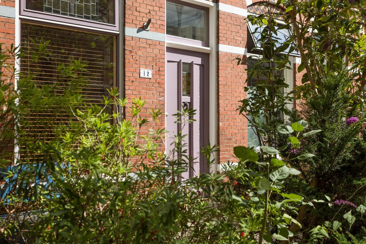Harlingerstraat 12