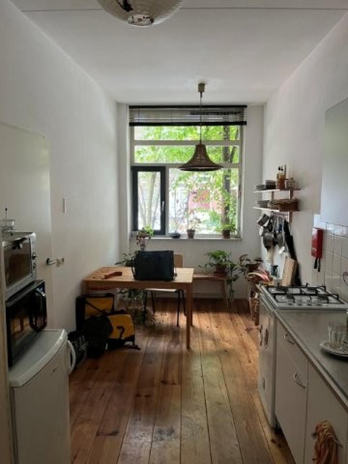 For rent: Flat Reinwardtstraat 81 A in Amsterdam