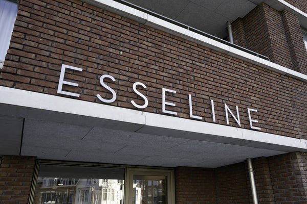 For rent: Flat Badhuisweg in Den Haag