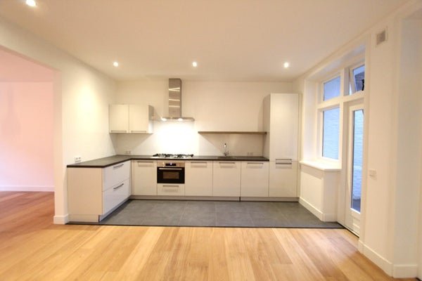 For rent: Flat Pieter de Hoochstraat in Amsterdam