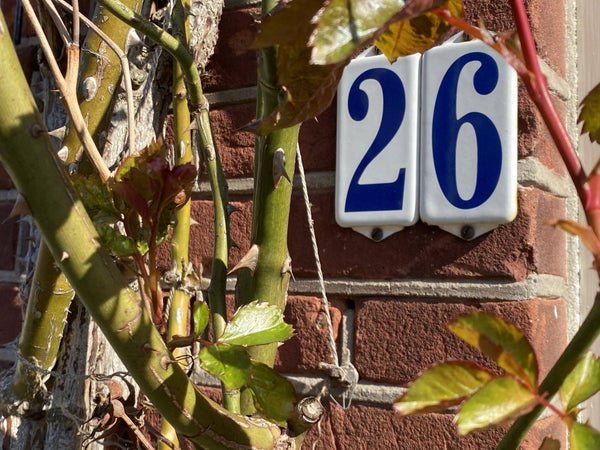 For rent: House Markstraat in Utrecht