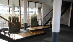 Luzernevlinder 17