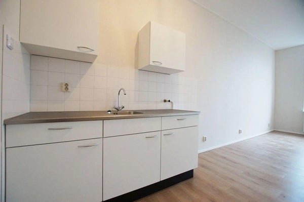For rent: Flat Cartesiusstraat in Den Haag