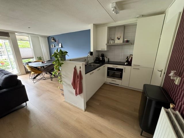 Den Bogerd 41