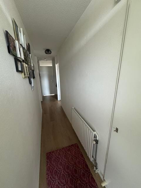 Den Bogerd 41