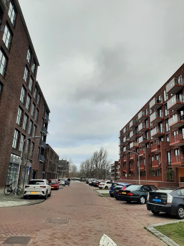 For rent: Flat Freddie Oversteegenstraat 421 in Haarlem