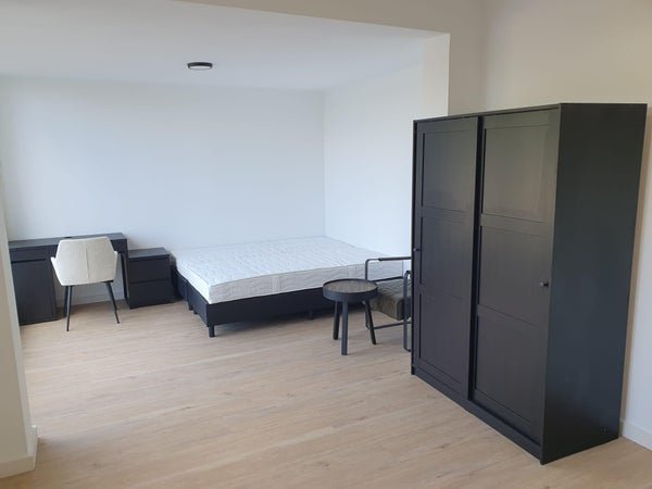 For rent: Flat Lasondersingel in Enschede
