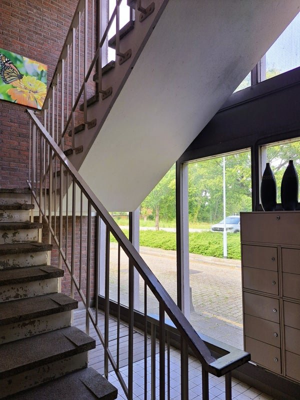 For rent: Flat Falckstraat in Vlissingen