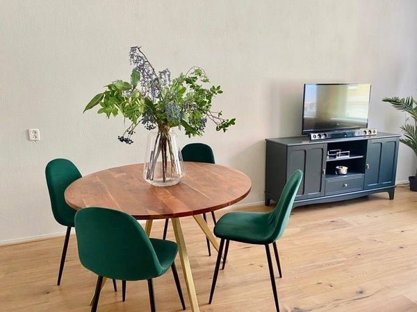 For rent: Flat Mallemolen in Den Haag