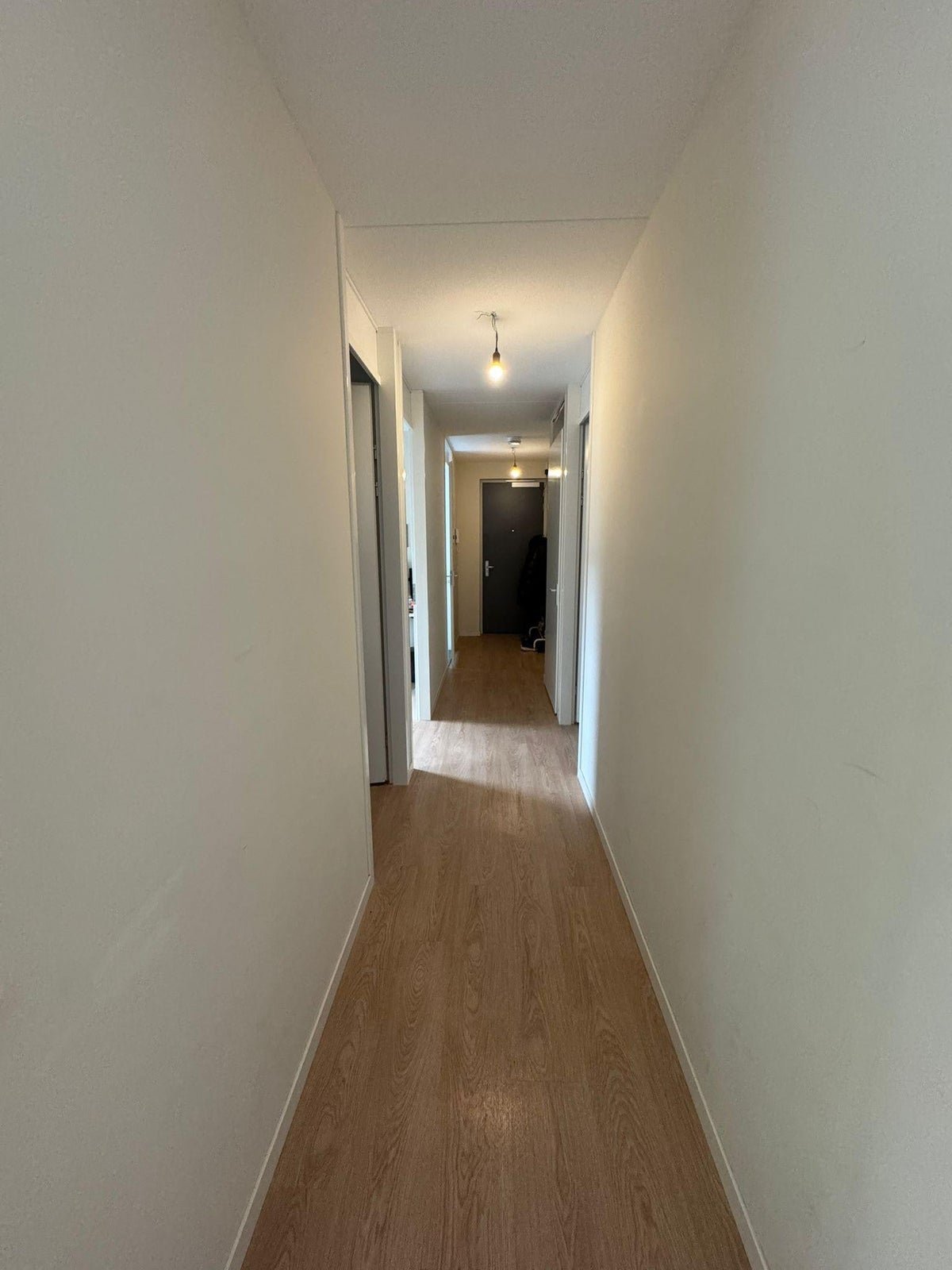For rent: Flat Adriaen Nimantsstraat 58 in Rotterdam