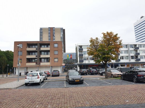 For rent: Flat Bernadottelaan in Utrecht