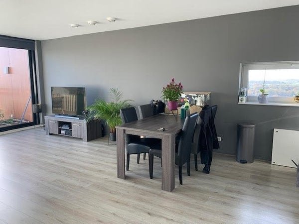 For rent: Flat Dirk Hartogstraat in Breda