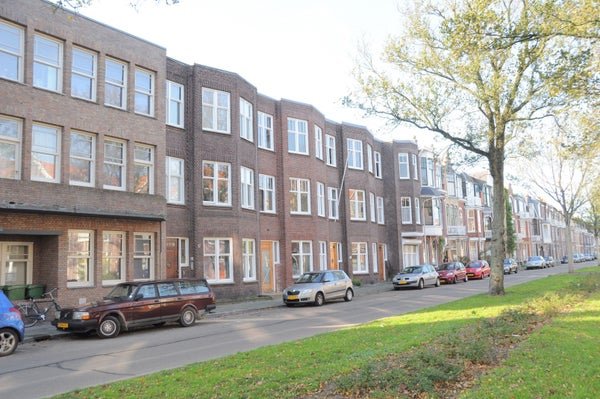 For rent: Flat Ieplaan in Den Haag