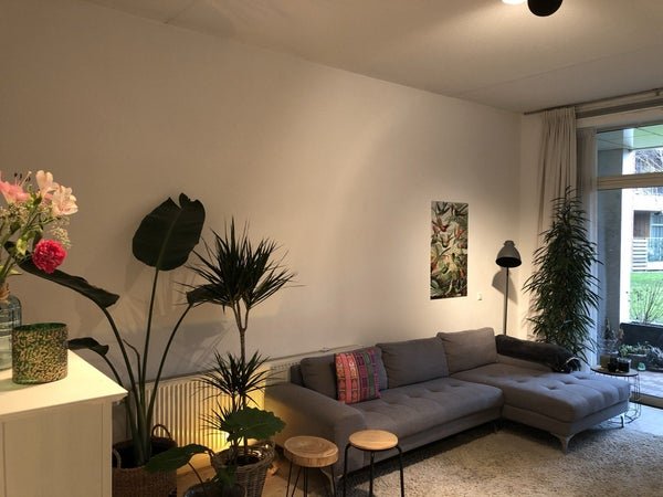 For rent: Flat Erich Salomonstraat 3 in Amsterdam