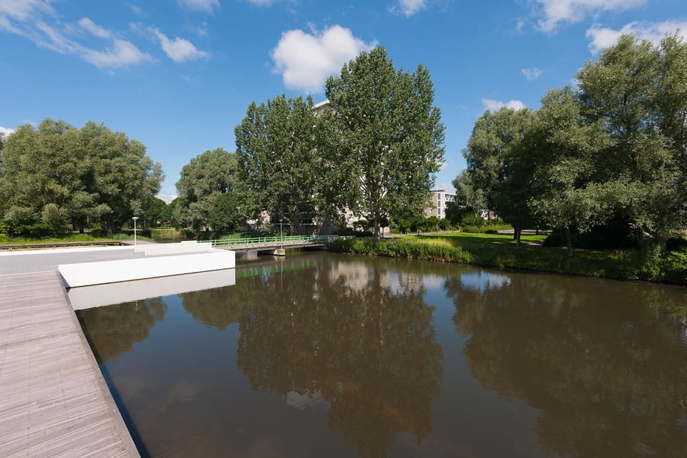 Hogewerf 219