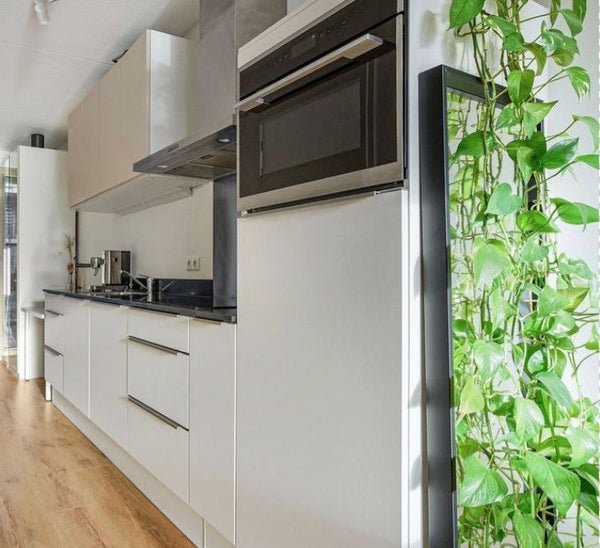 For rent: Flat Van Humboldtstraat in Utrecht