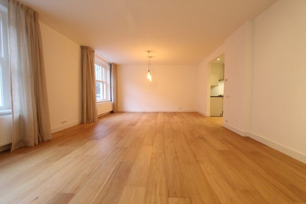 For rent: Flat Pieter de Hoochstraat in Amsterdam