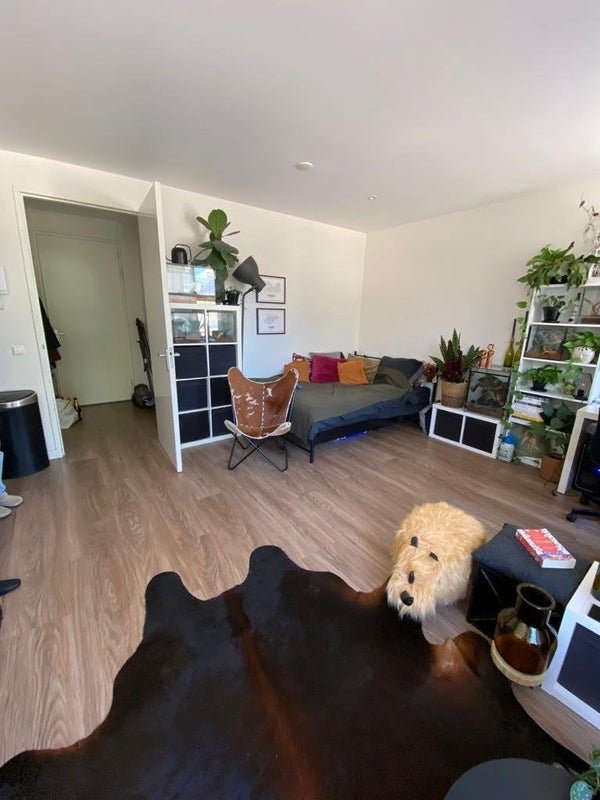 For rent: Studio Ruiterskwartier 115 n in Leeuwarden