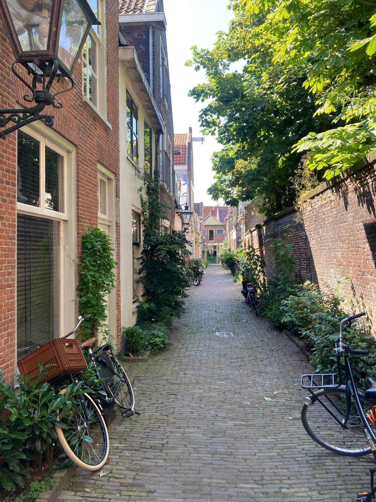 For rent: House Koddesteeg in Leiden