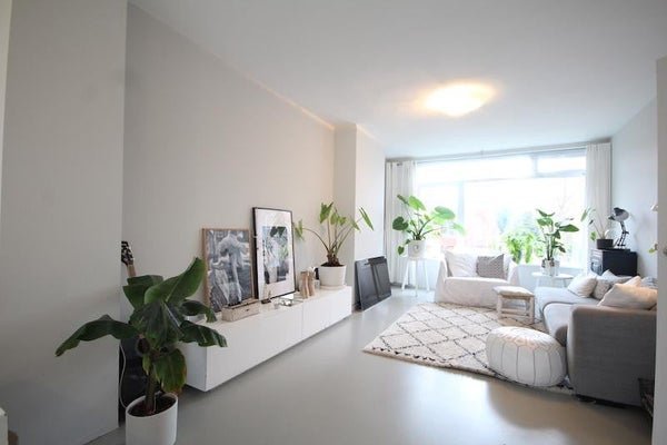 For rent: Flat Asserstraat in Leiden