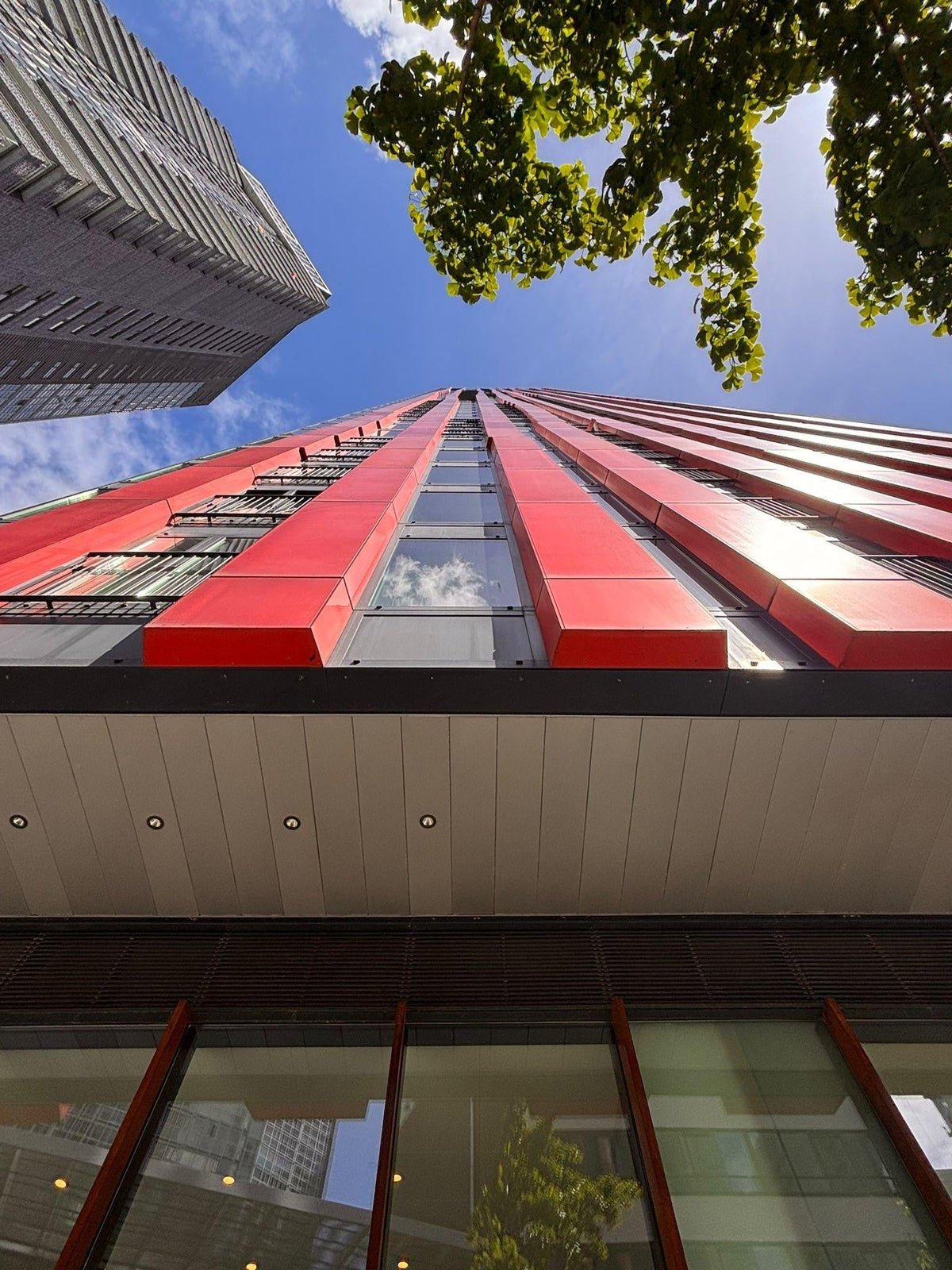 For rent: Flat Wijnbrugstraat in Rotterdam
