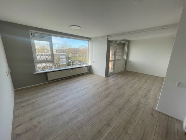 For rent: Flat Wilgenplaslaan in Rotterdam