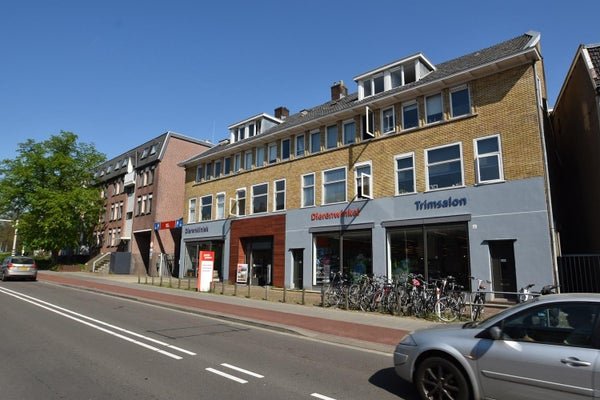 For rent: Room Amsterdamseweg in Arnhem