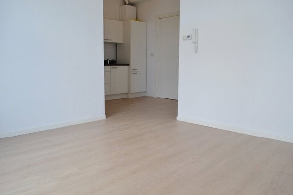 For rent: Flat Loosduinseweg in Den Haag