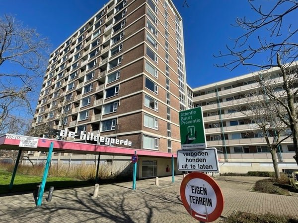For rent: Flat Wilgenplaslaan in Rotterdam