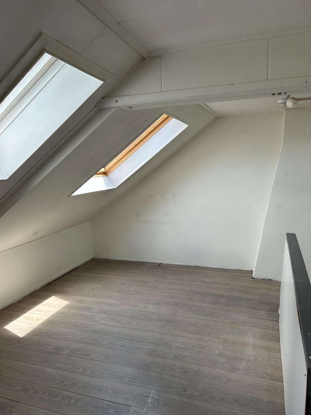 For rent: Room Amsterdamseweg in Arnhem
