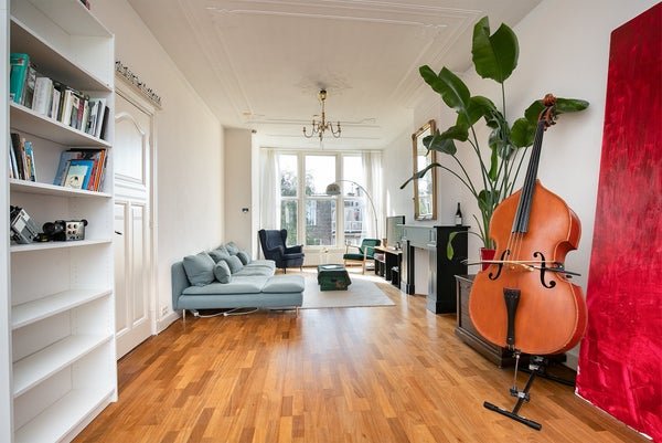 For rent: Flat Snelliusstraat in Den Haag
