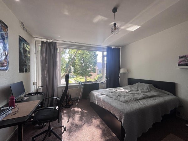 For rent: Room Schalmeistraat in Maastricht