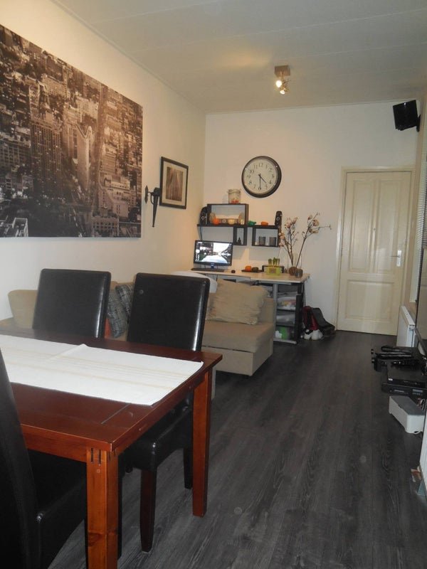 For rent: Flat Anton de Haenstraat in Den Haag