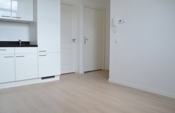 For rent: Flat Loosduinseweg in Den Haag