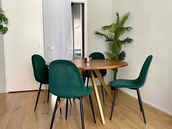 For rent: Flat Mallemolen in Den Haag