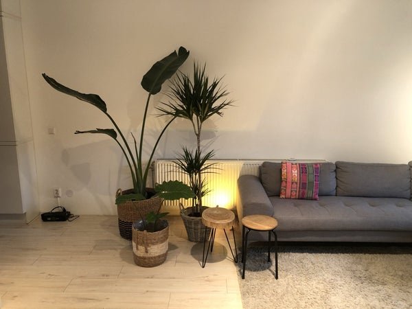For rent: Flat Erich Salomonstraat 3 in Amsterdam