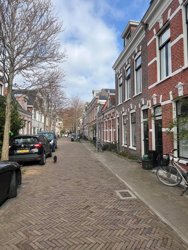 For rent: House Leeuwarderstraat in Groningen