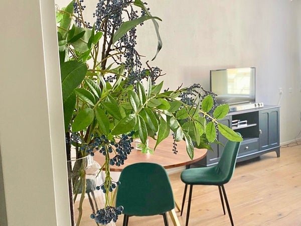 For rent: Flat Mallemolen in Den Haag