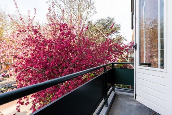 For rent: Flat Mathenesserlaan in Rotterdam