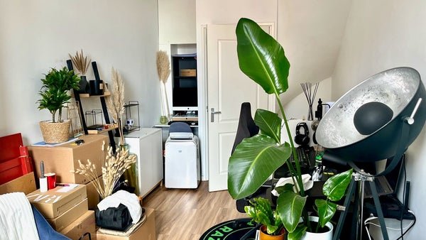 For rent: Flat Beeklaan in Den Haag