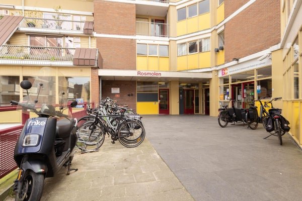For rent: Flat Rosmolen 168 in Leiden