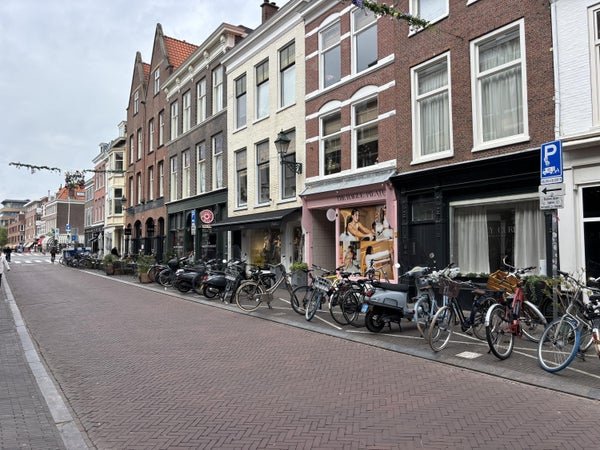 For rent: Flat Denneweg in Den Haag