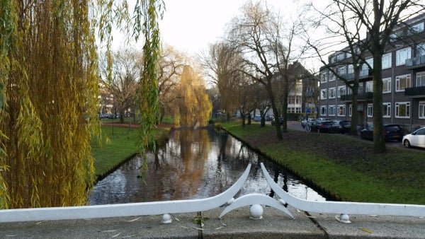 For rent: Flat Statenweg in Rotterdam
