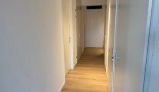 For rent: Flat Meerring in Eindhoven