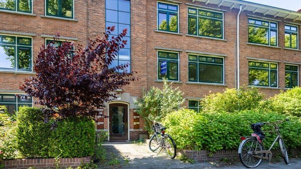 For rent: Flat Burggravenlaan 133 in Leiden